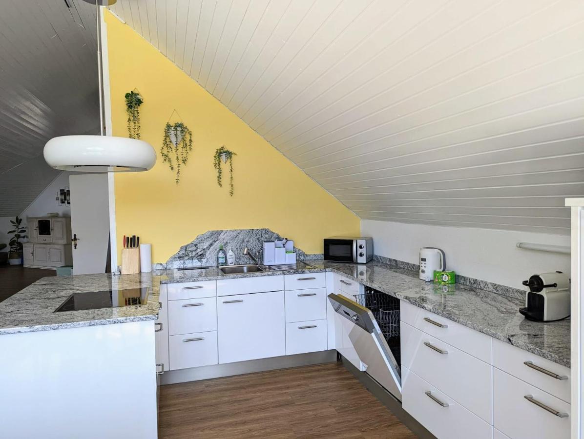 Rheinquartier Kuessaberg Rheinheim Aparthotel Kussaberg Екстериор снимка