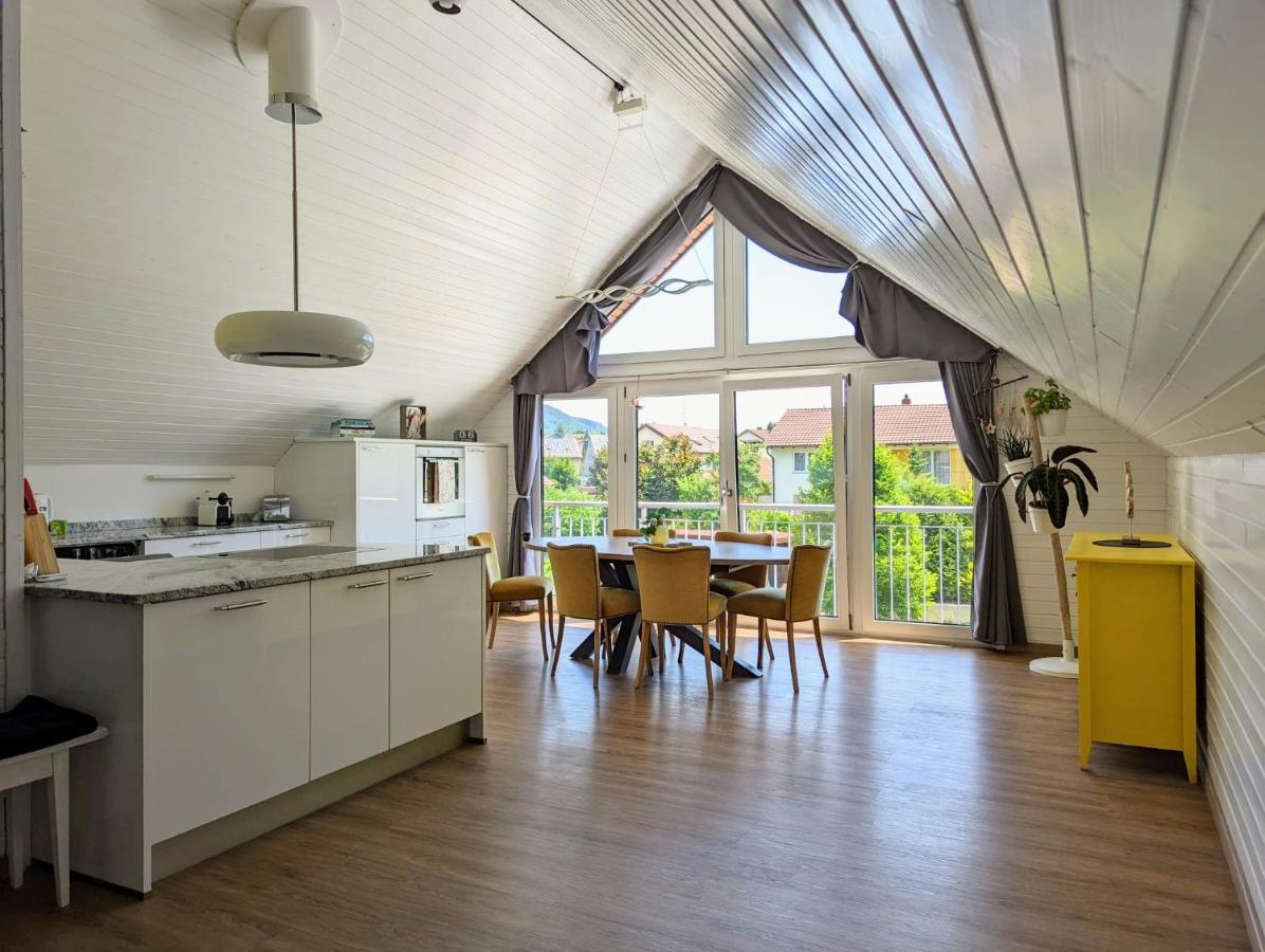 Rheinquartier Kuessaberg Rheinheim Aparthotel Kussaberg Екстериор снимка